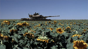 The sunflower field in 'Lebanon.