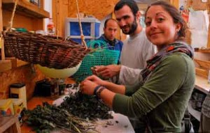 Students at the Hava ve-Adam Ecological Farm. Photo courtesy of Hava ve-Adam