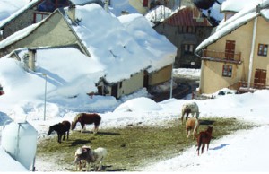 A small village in the Alps