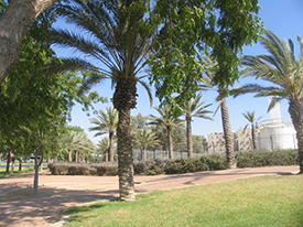 A Hadassah-JNF park. Photo by Esther Hecht.