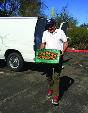 Alaa Al-Ani, an Iraqi refugee who arrived three years ago, helps harvest fruit.