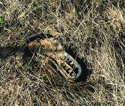 Though the writer didn't encounter migrants while volunteering in the Sonoran Desert, evidence of their presence—like this shoe sole—were easier to find.