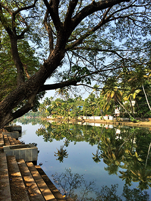 The backwaters of Kochi. All photos by Rahel Musleah.