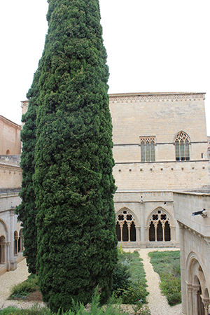 The monastery cloister.