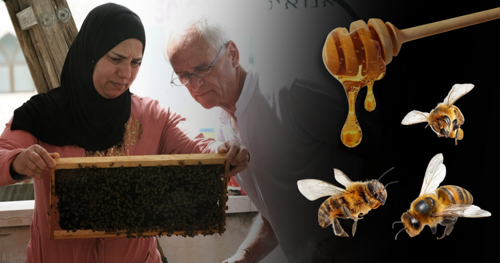 What's All the Buzz About Bees for Peace? | Hadassah Magazine