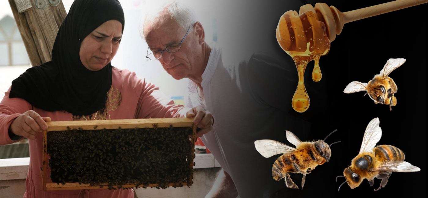 What’s All the Buzz About Bees for Peace?