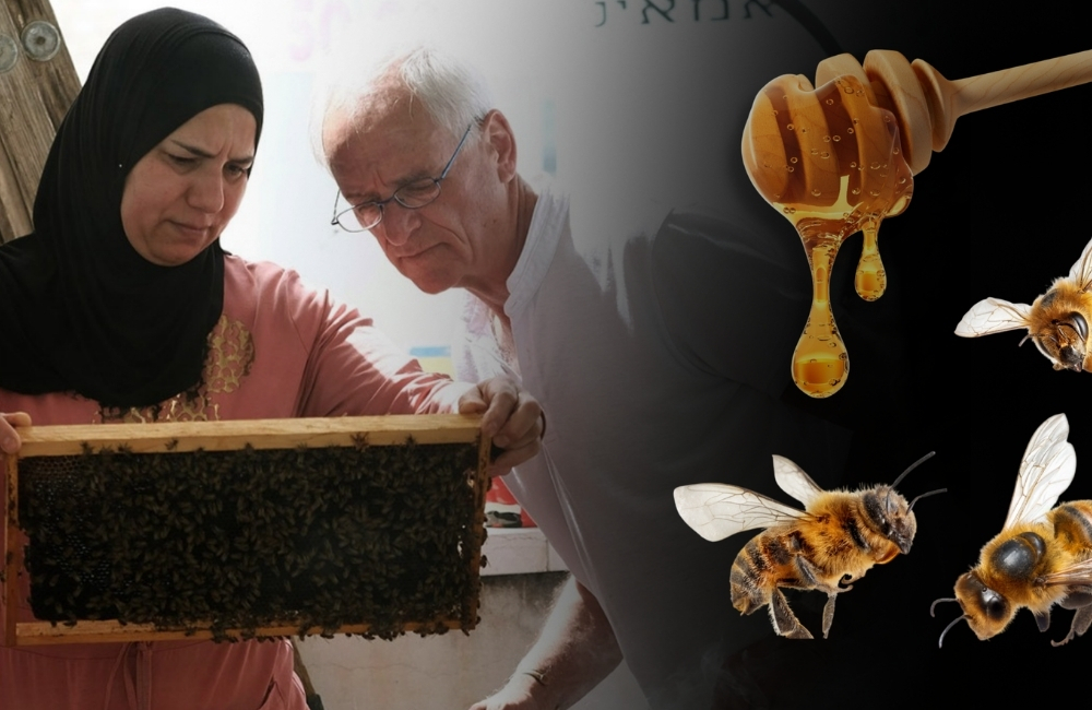 What’s All the Buzz About Bees for Peace?